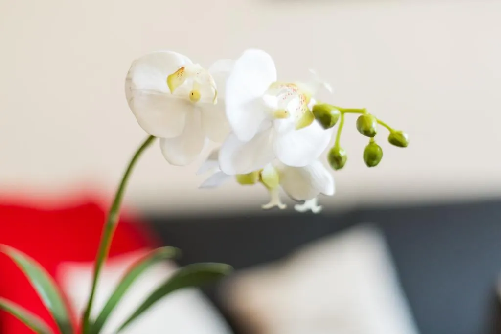 Cityzen Apartments Grand Place Брюссель